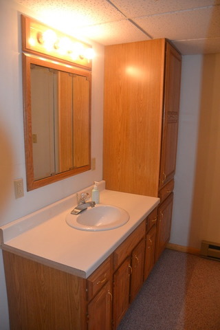 1143 Inlet Road Amboy, IL 61310 - Photo 15 of 19