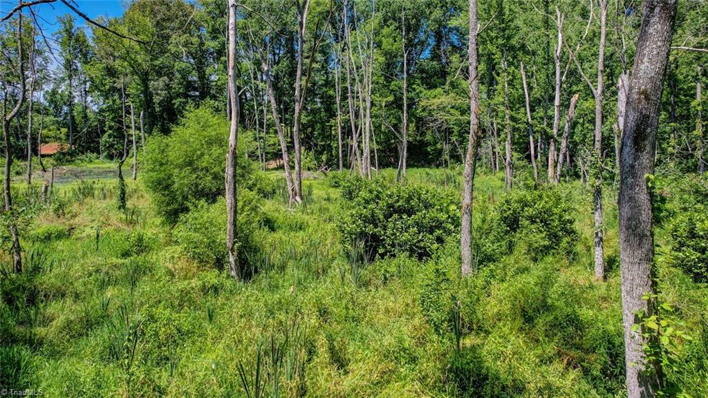 0 Oscar Road Reidsville, NC 27320 - Photo 22 of 29 Gallery Image 22