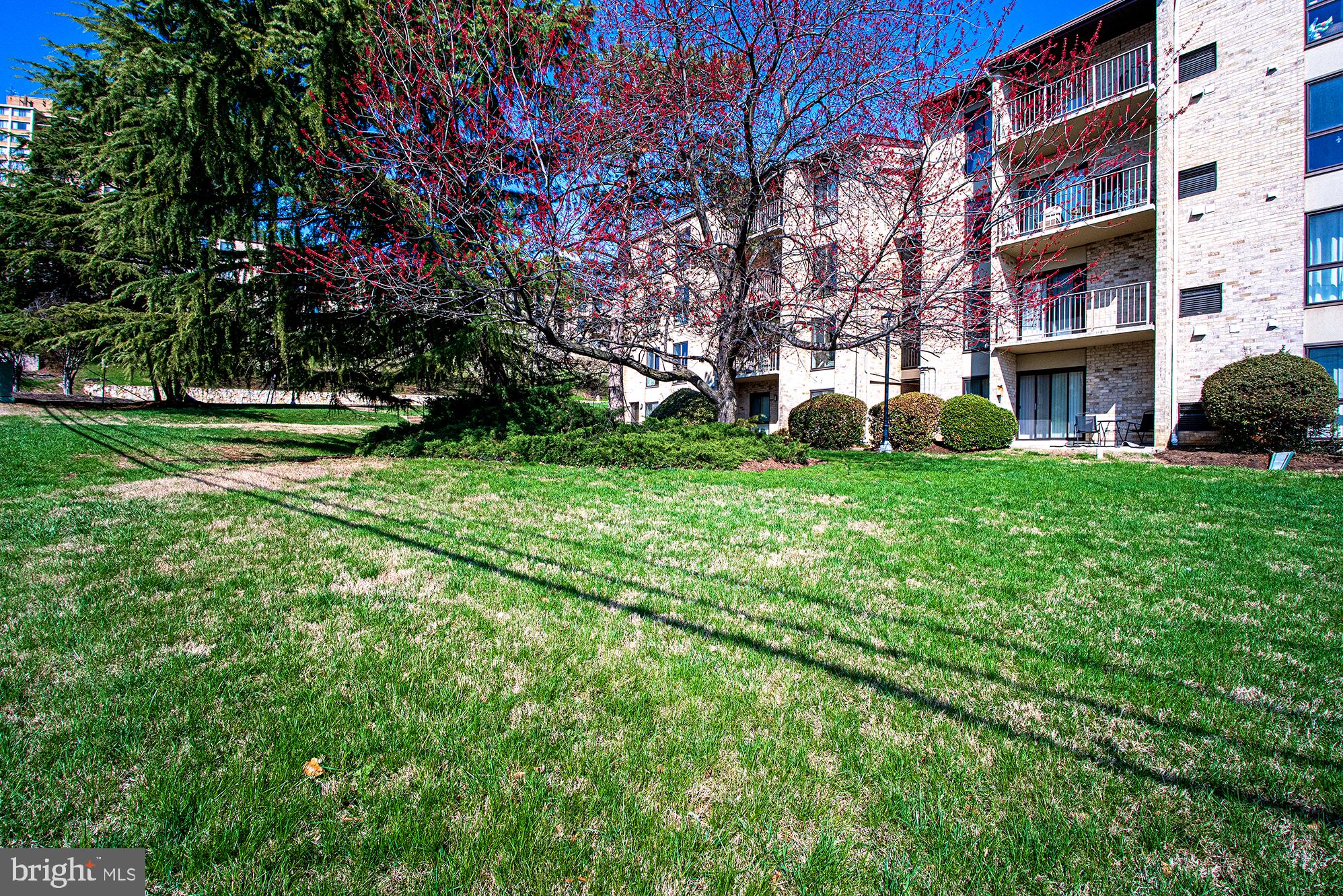 6141 Edsall Road, Unit B Alexandria, VA 22304 - Photo 26 of 27 a view of a building with a big yard and large trees
