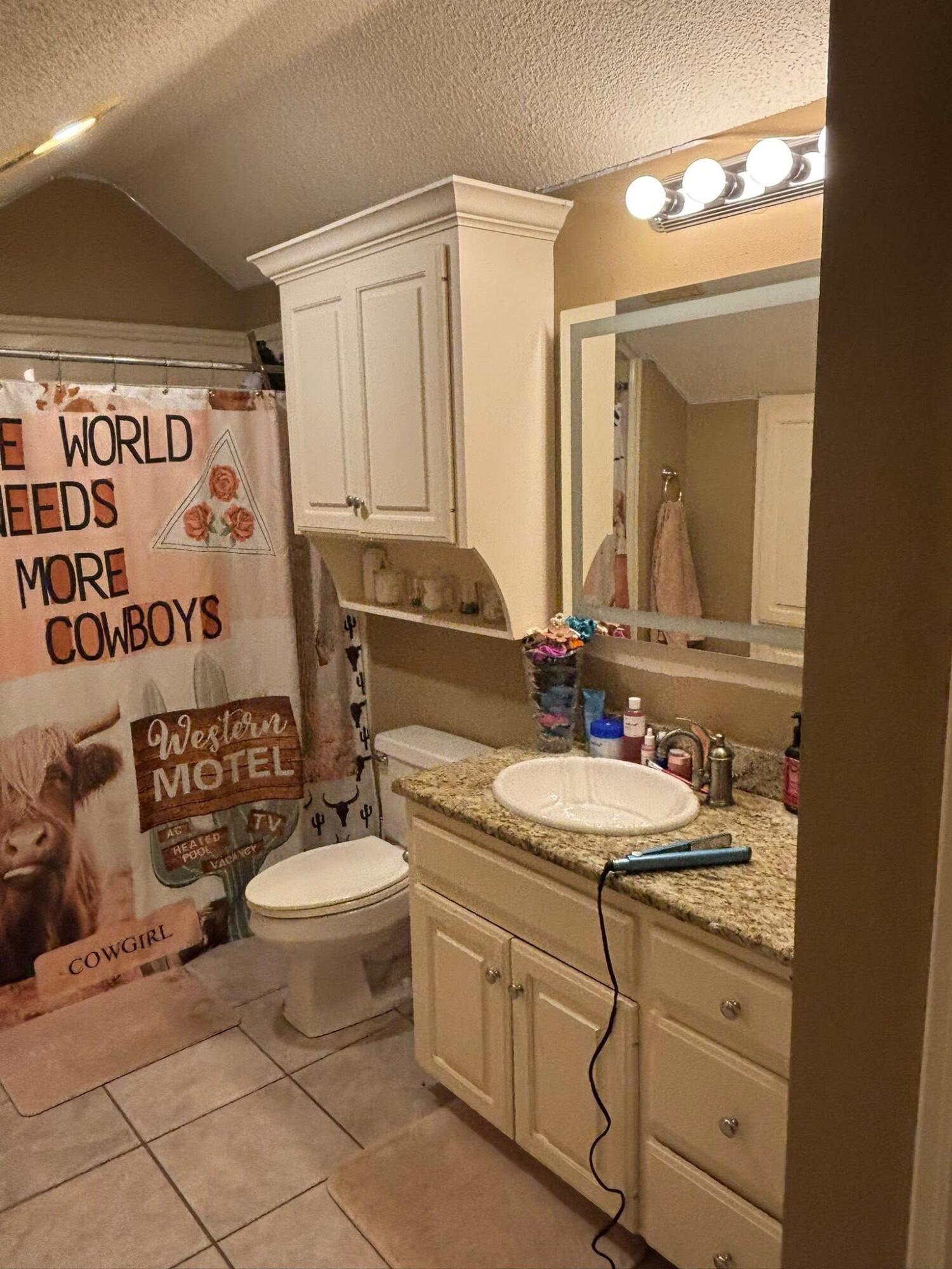 1402 9th Street Shallowater, TX 79363 - Photo 34 of 49 a bathroom with a toilet sink and mirror