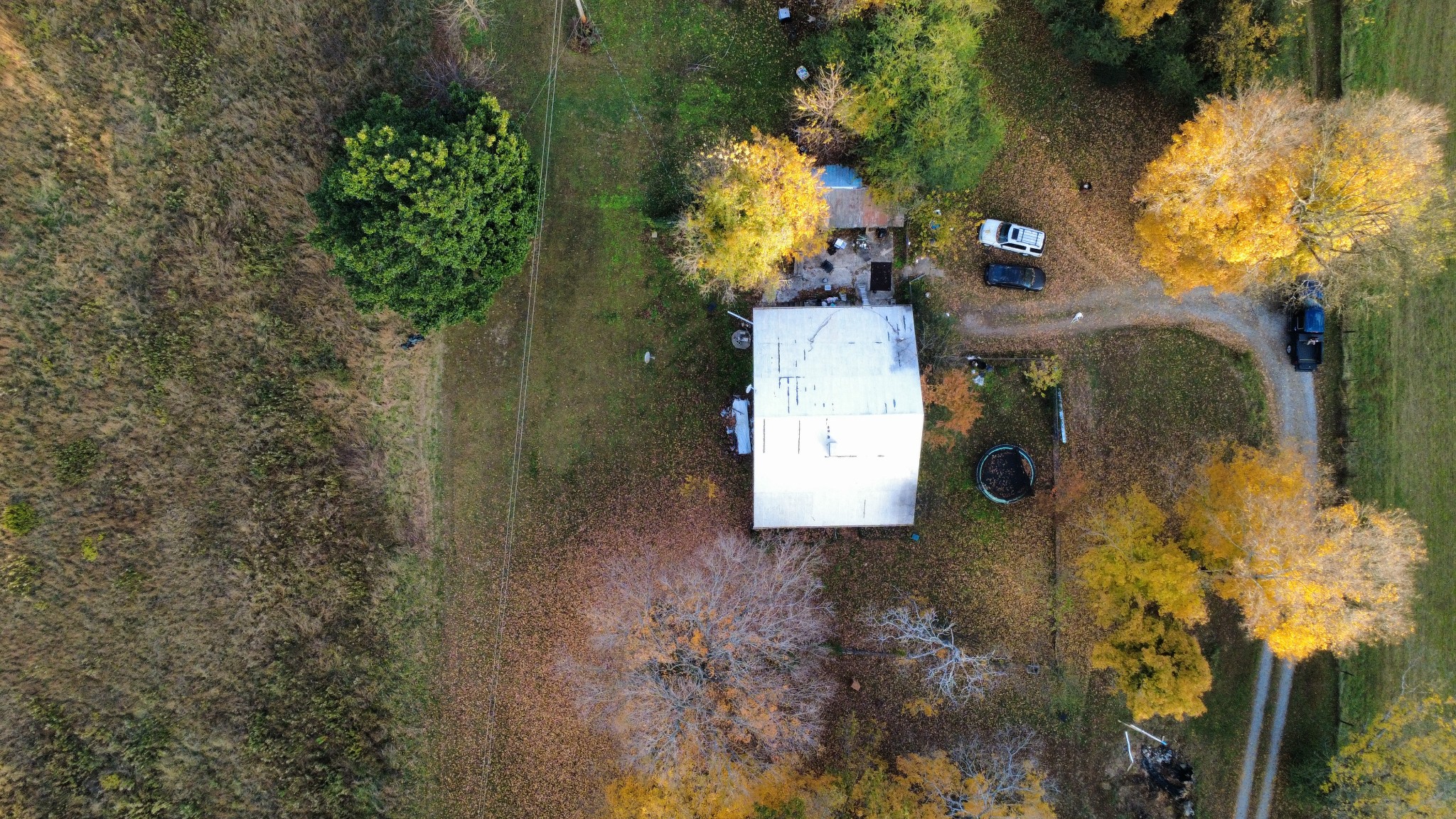 3941 Baggett Road Springfield, TN 37172 - Photo 3 of 18 a view of yard