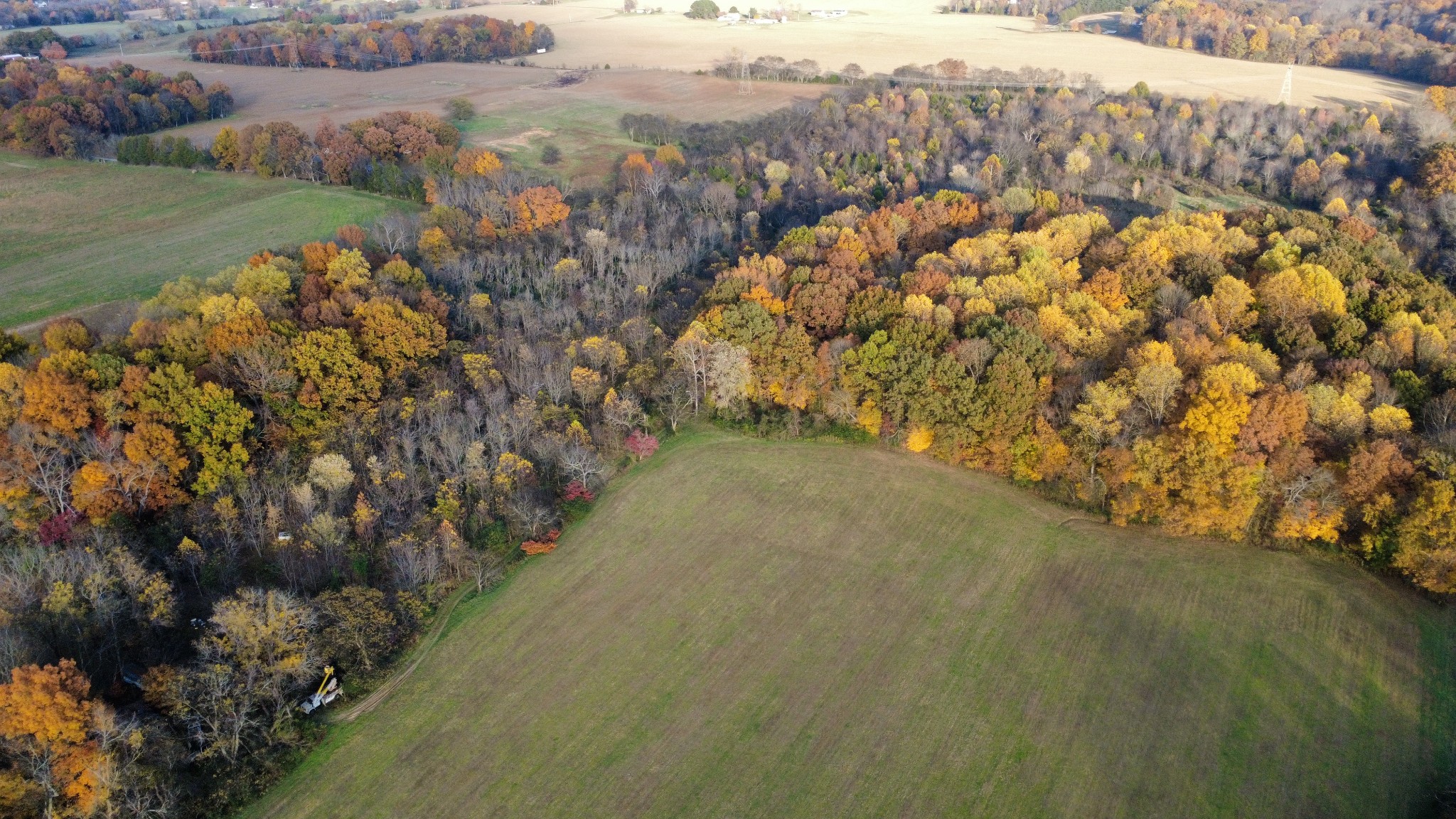 3941 Baggett Road Springfield, TN 37172 - Photo 4 of 18 a view of a yard