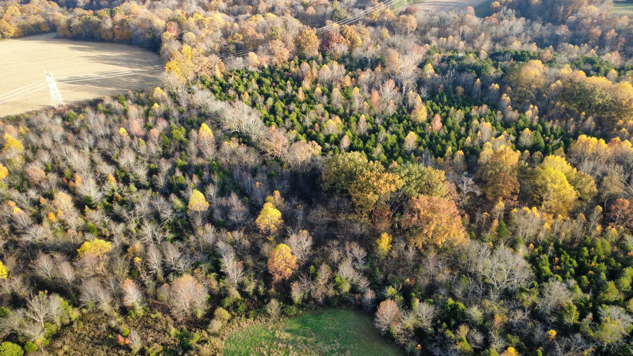 3941 Baggett Road Springfield, TN 37172 - Photo 8 of 18 a view of a lake