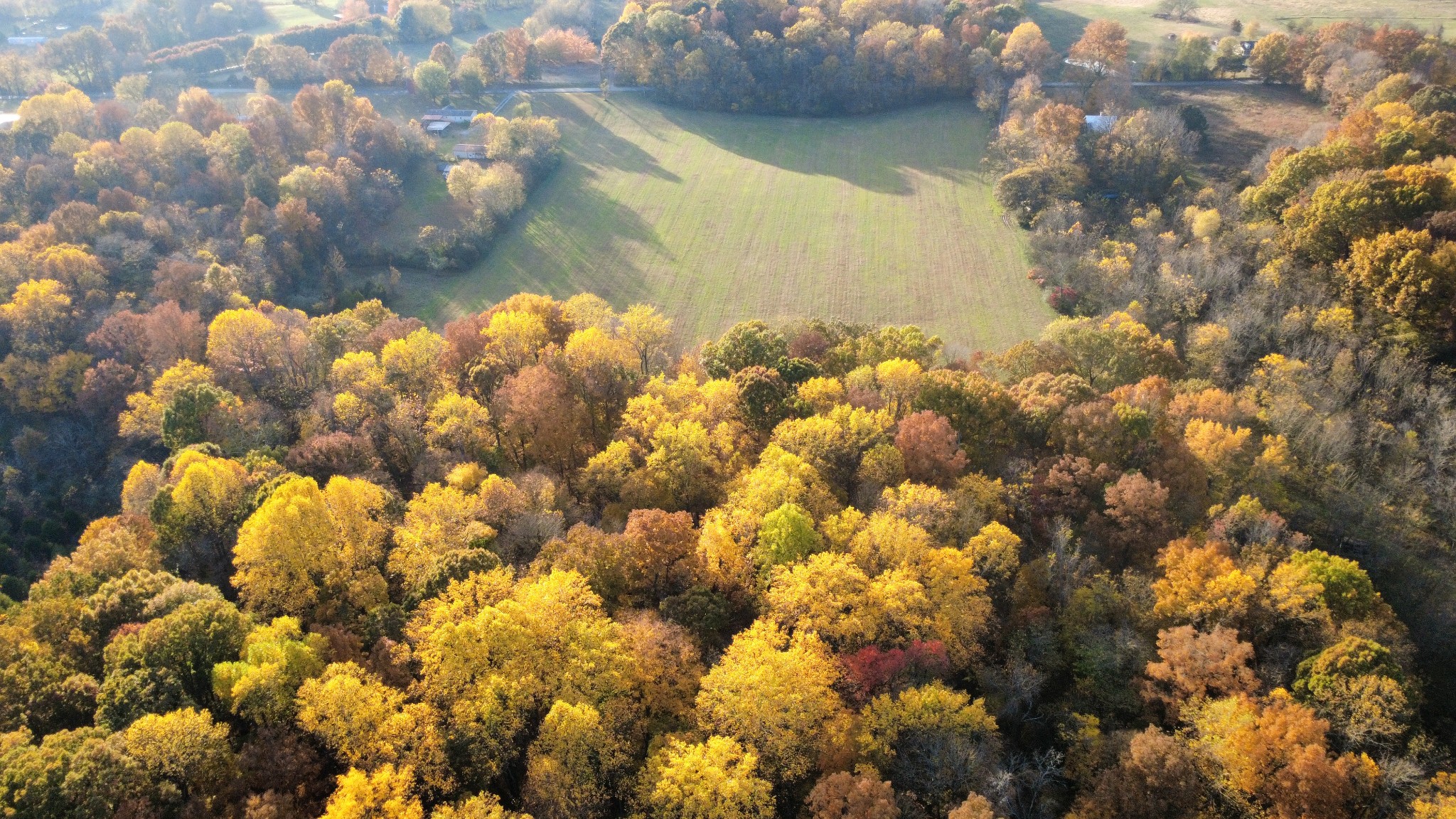 3941 Baggett Road Springfield, TN 37172 - Photo 10 of 18 a view of a bunch of flowers