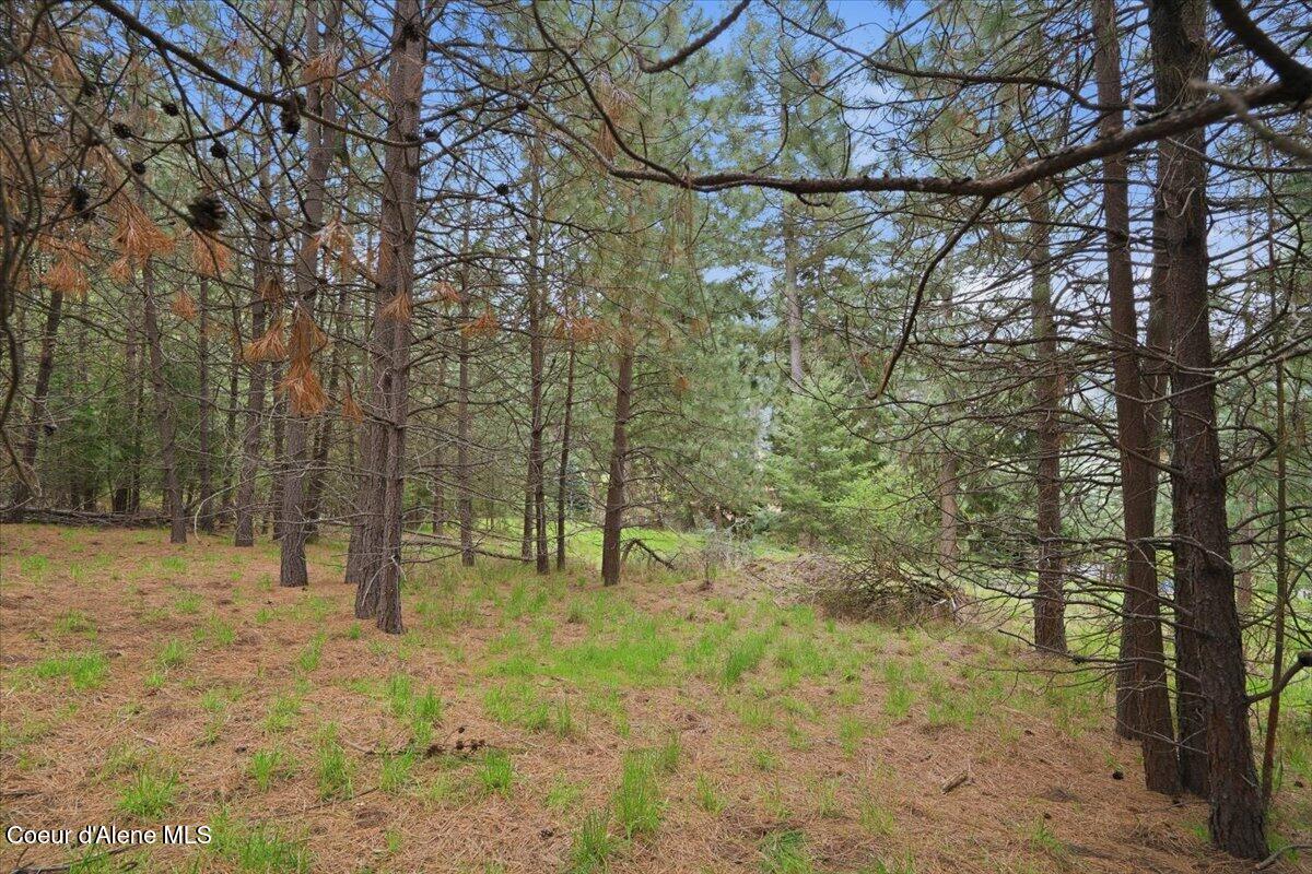 Nna North Chalet Road Hayden, ID 83835 - Photo 11 of 26 09-Chalet Rd
