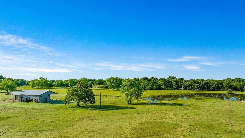 962 County Road Pattonville, TX 75468 - Photo 6 of 37 a view of yard with swimming pool and green space