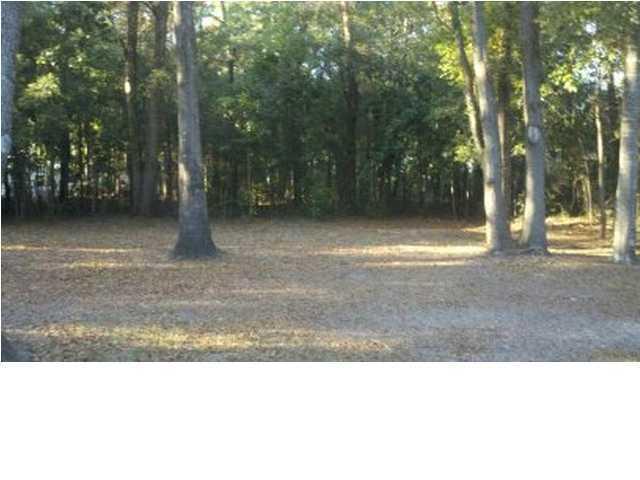 225 Mt Carmel Road Walterboro, SC 29488 - Photo 10 of 10 Backyard Mt carmel
