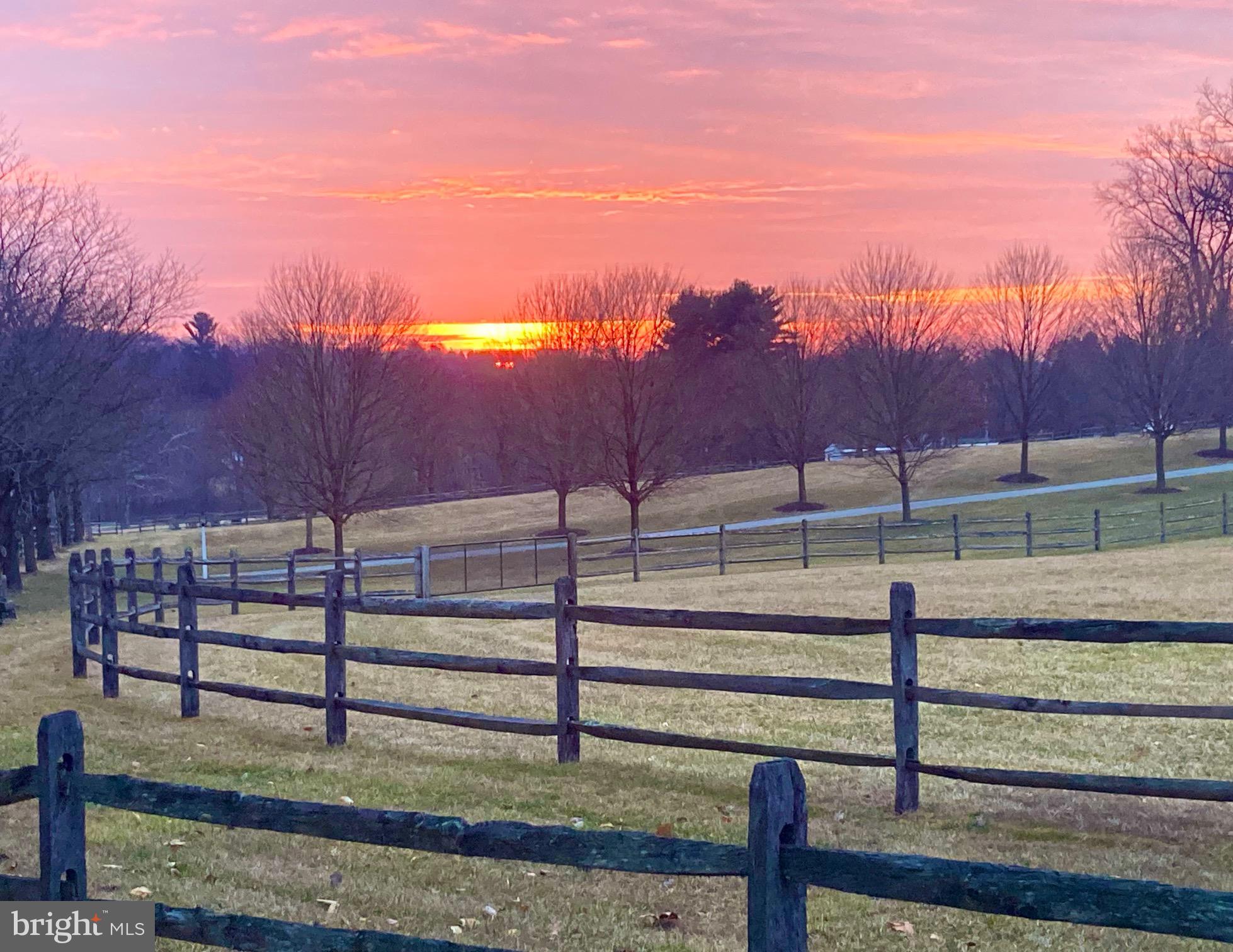 138 Davis Road Malvern, PA 19355 - Photo 87 of 96 Sunrise across the street