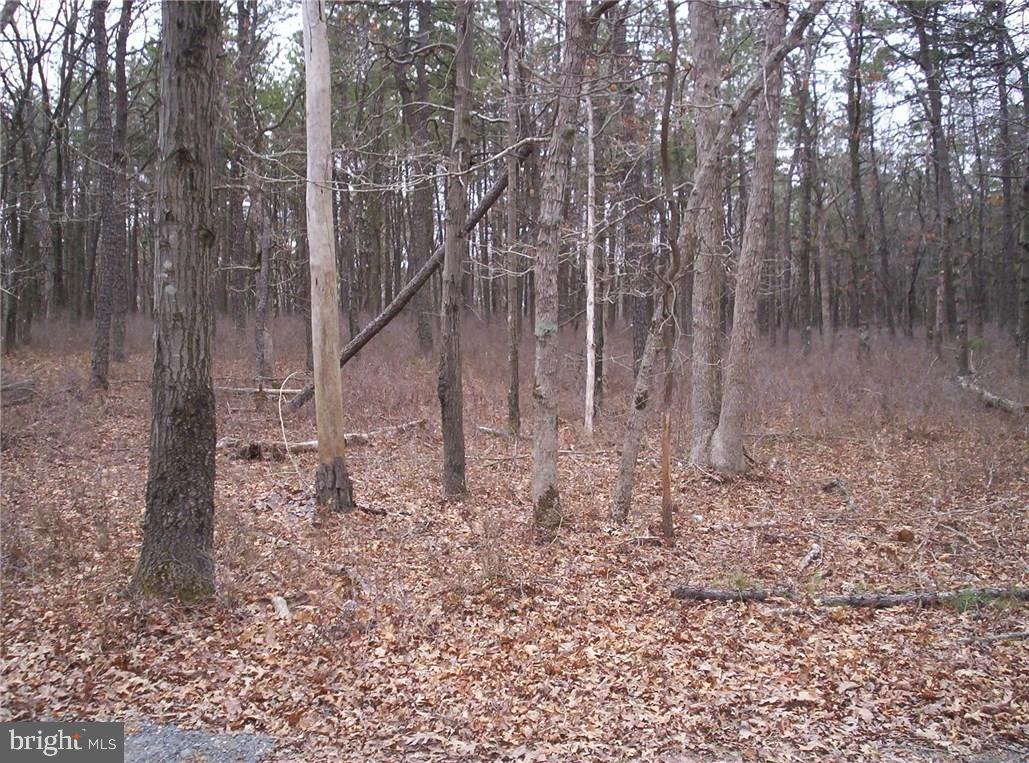 24 Jones Road Barnegat, NJ 08005 - Photo 2 of 15
