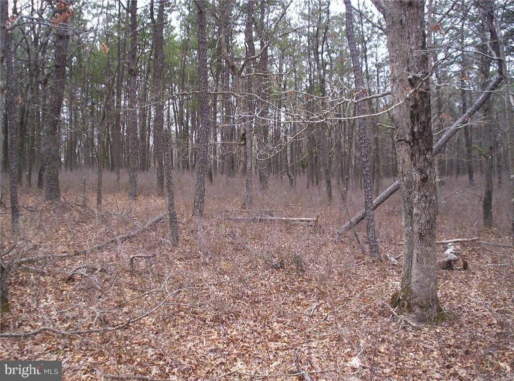 24 Jones Road Barnegat, NJ 08005 - Photo 11 of 15