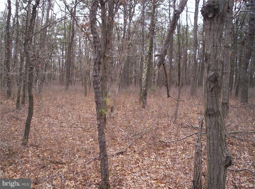 24 Jones Road Barnegat, NJ 08005 - Photo 12 of 15
