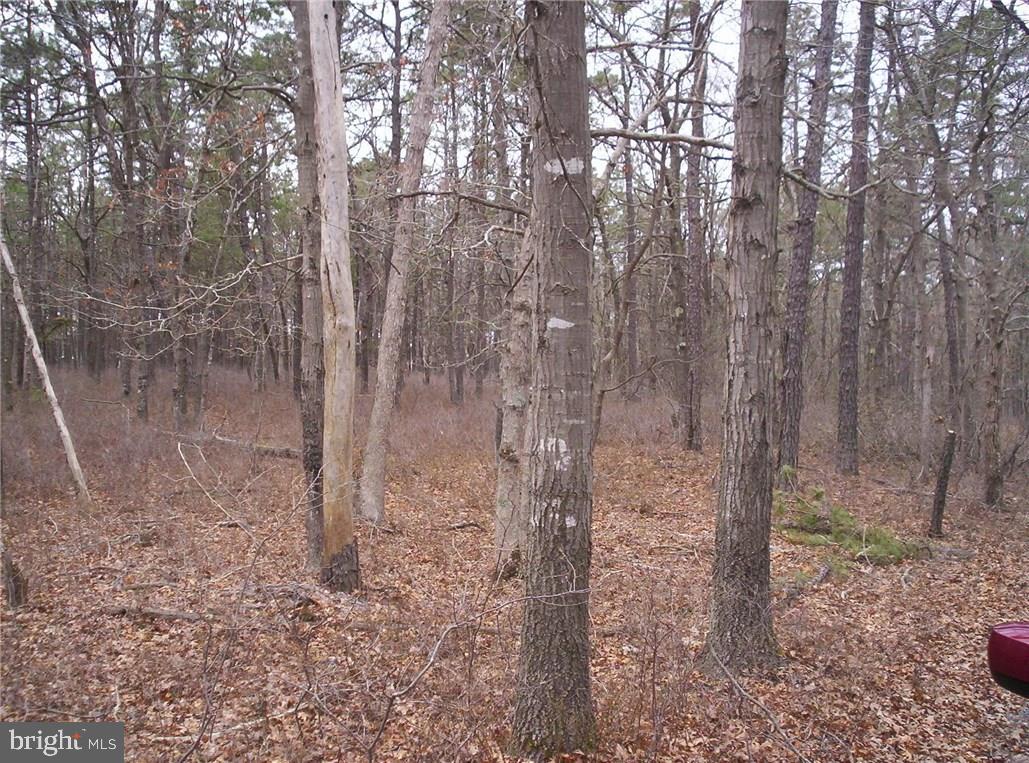 24 Jones Road Barnegat, NJ 08005 - Photo 13 of 15
