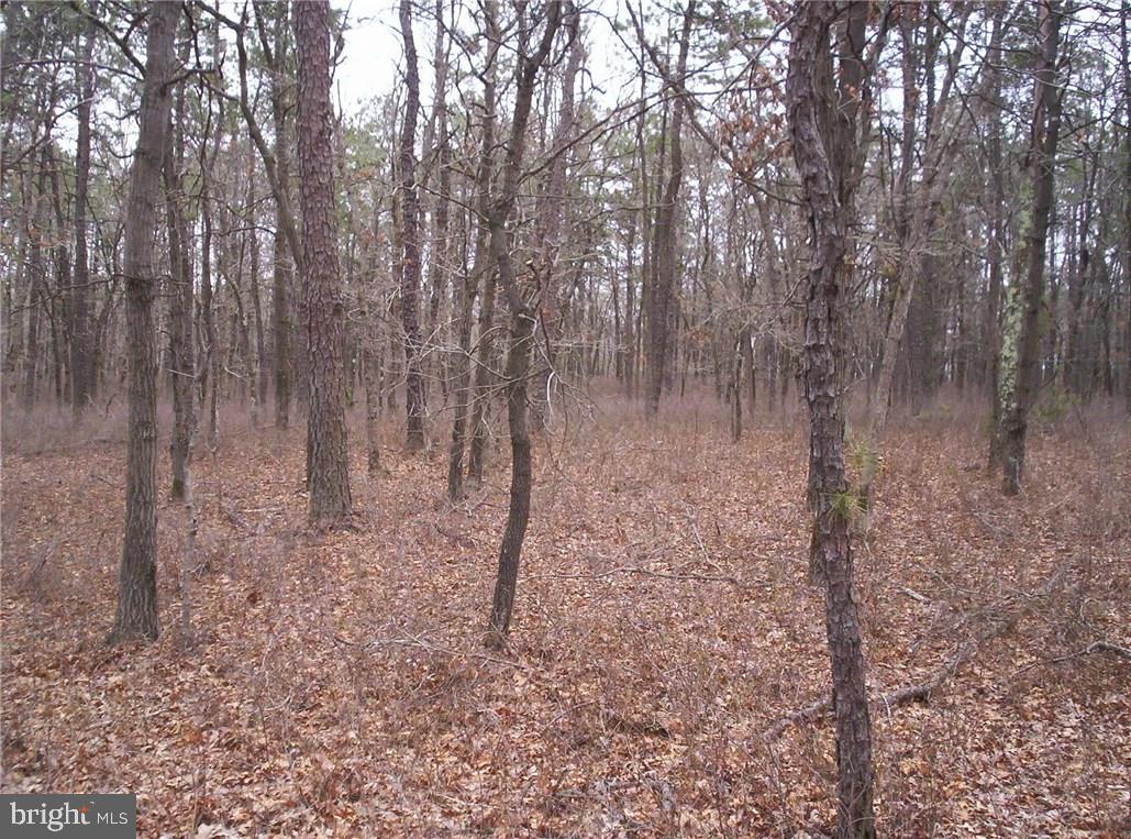 24 Jones Road Barnegat, NJ 08005 - Photo 14 of 15