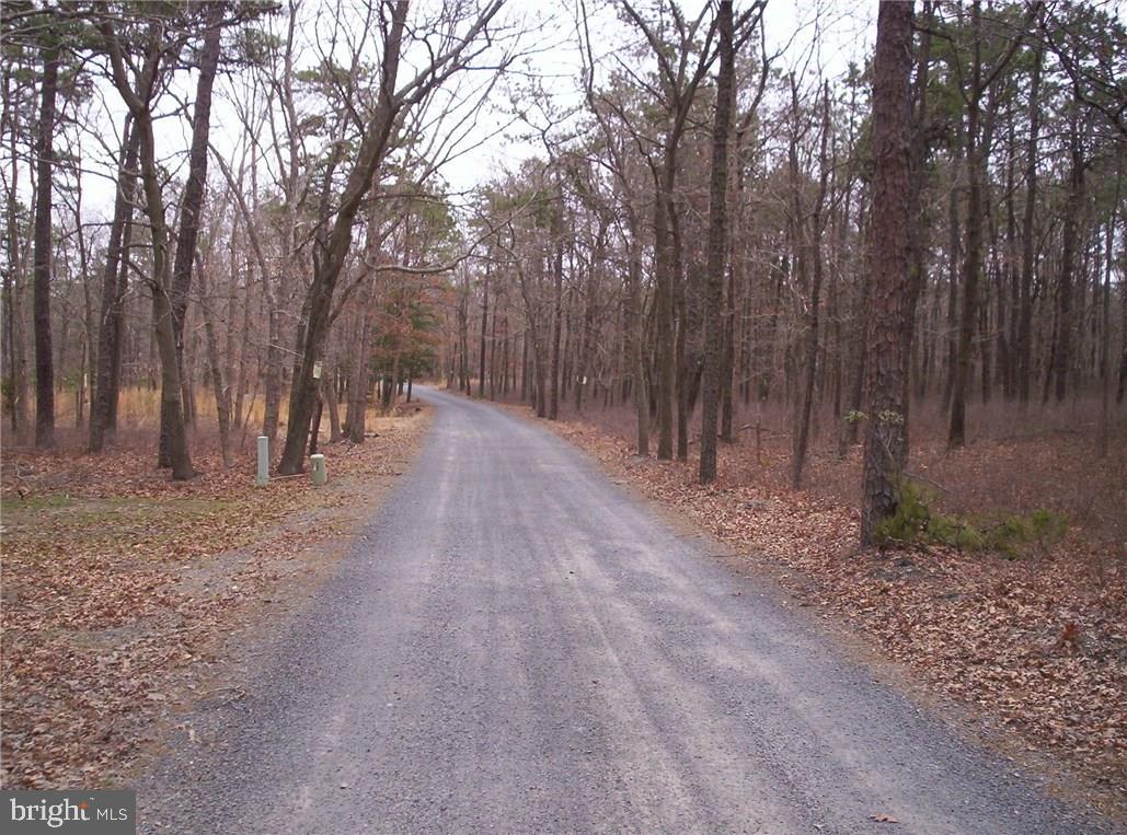 24 Jones Road Barnegat, NJ 08005 - Photo 3 of 15