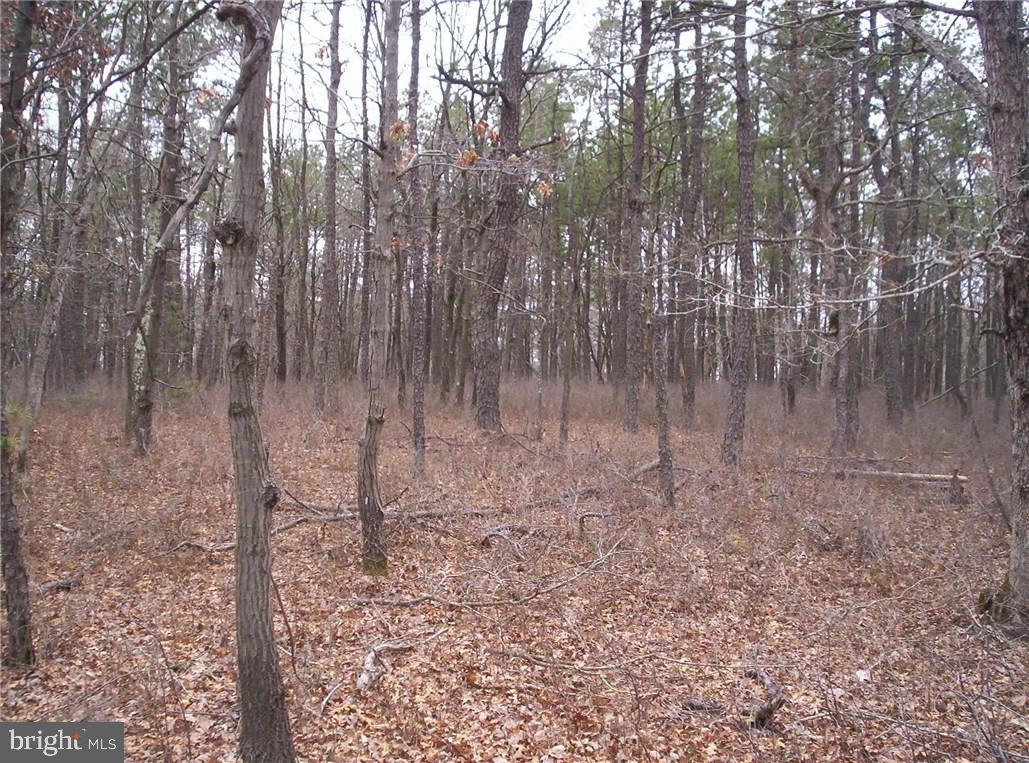 24 Jones Road Barnegat, NJ 08005 - Photo 4 of 15