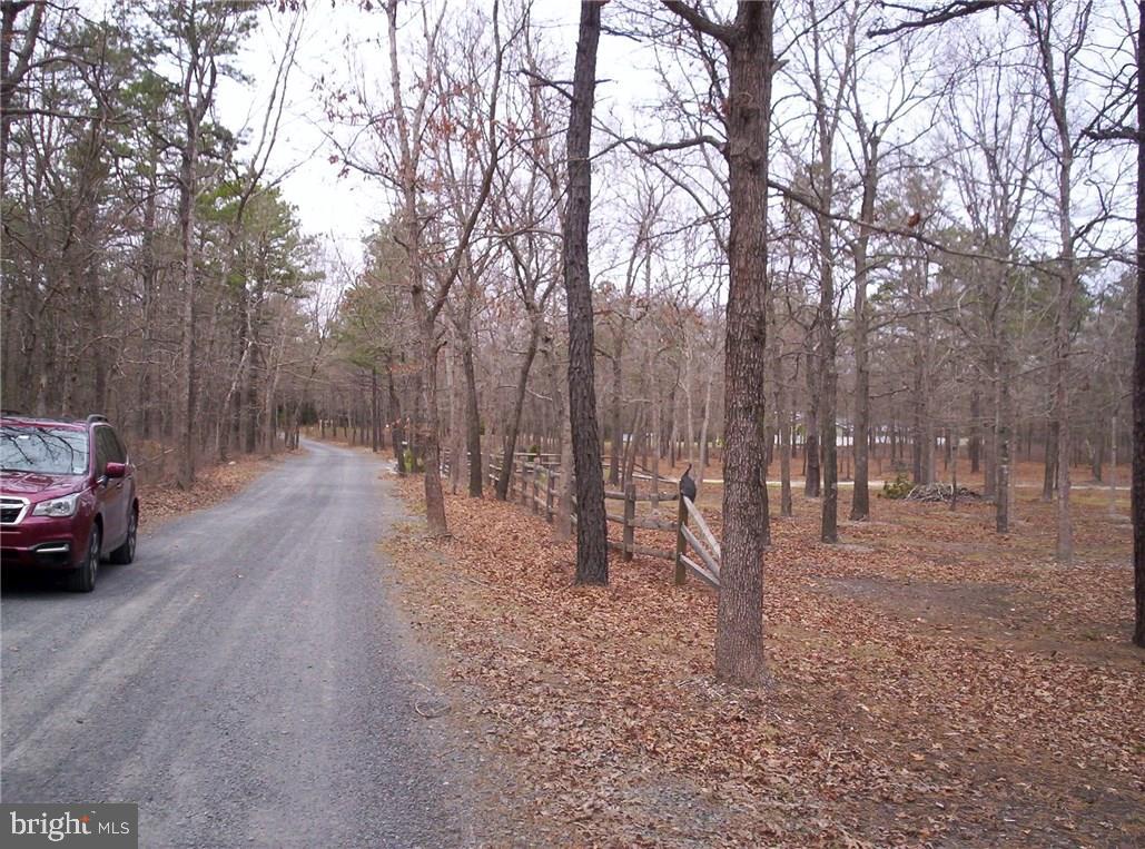 24 Jones Road Barnegat, NJ 08005 - Photo 6 of 15