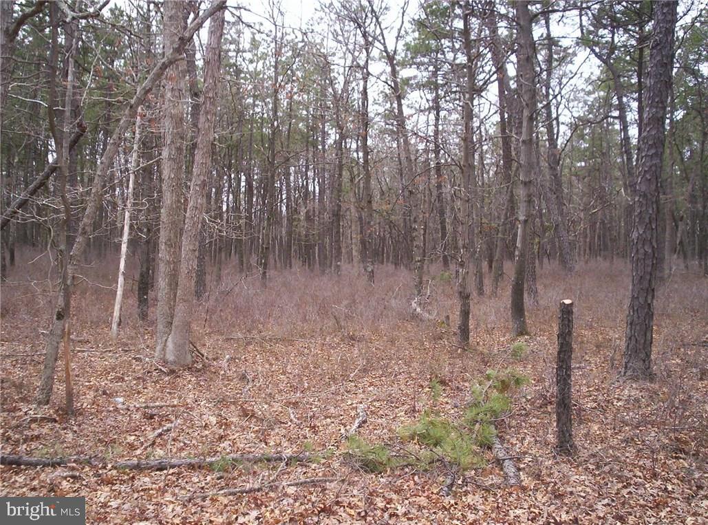 24 Jones Road Barnegat, NJ 08005 - Photo 7 of 15