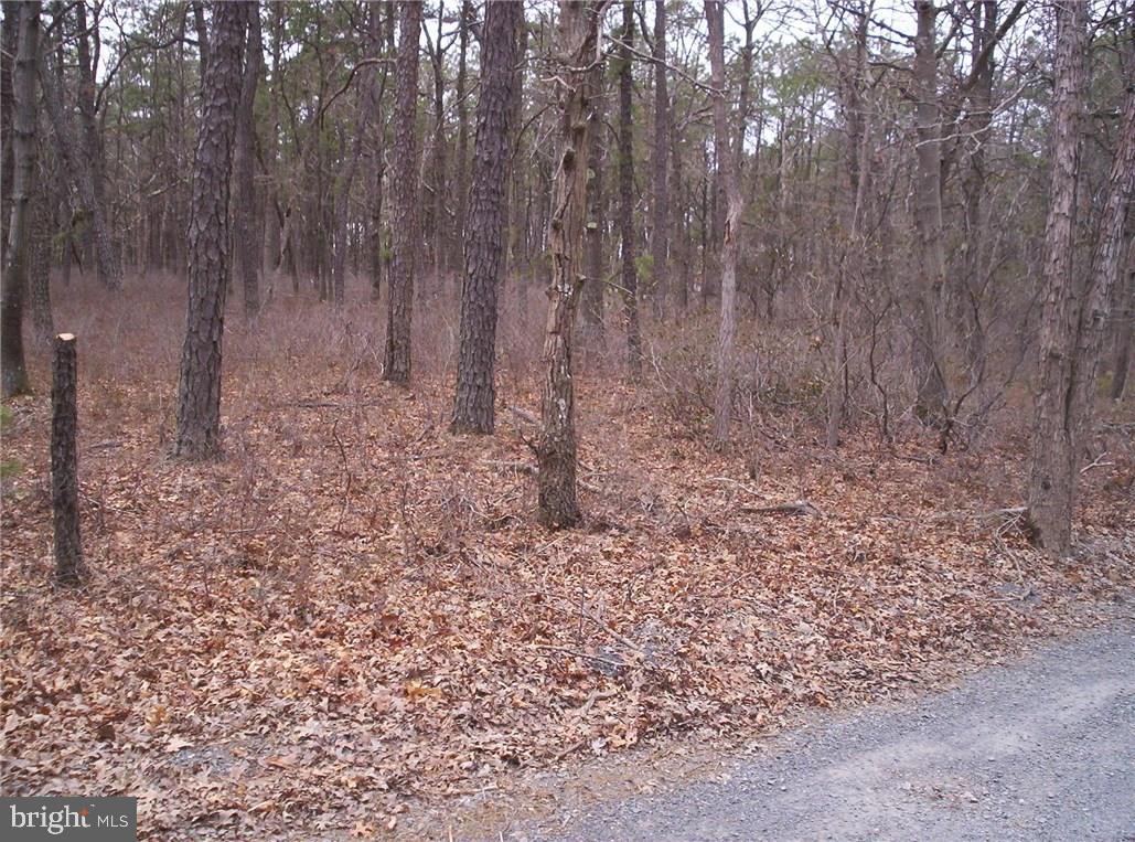 24 Jones Road Barnegat, NJ 08005 - Photo 8 of 15