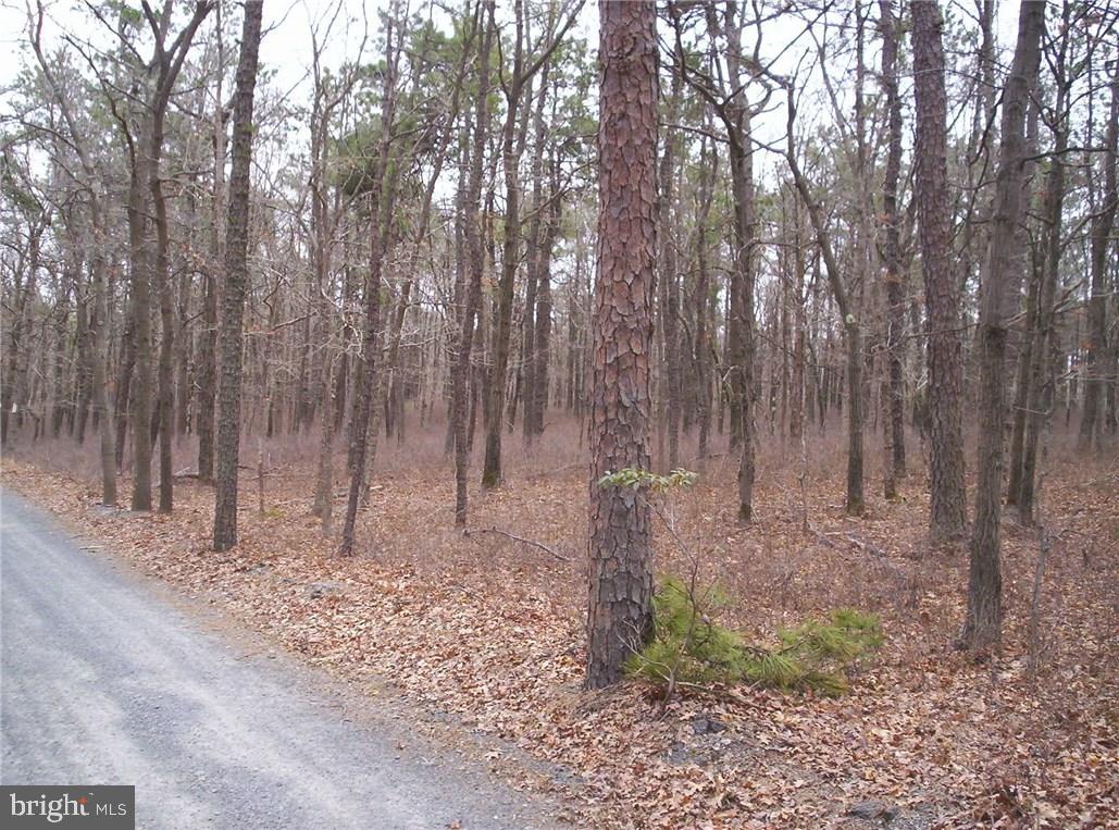 24 Jones Road Barnegat, NJ 08005 - Photo 9 of 15