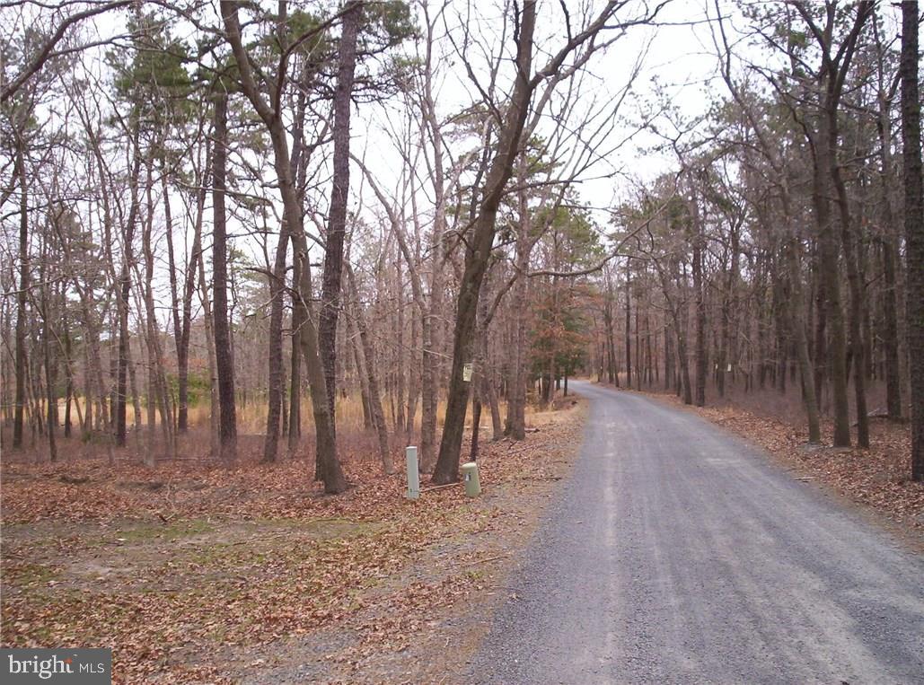 24 Jones Road Barnegat, NJ 08005 - Photo 10 of 15