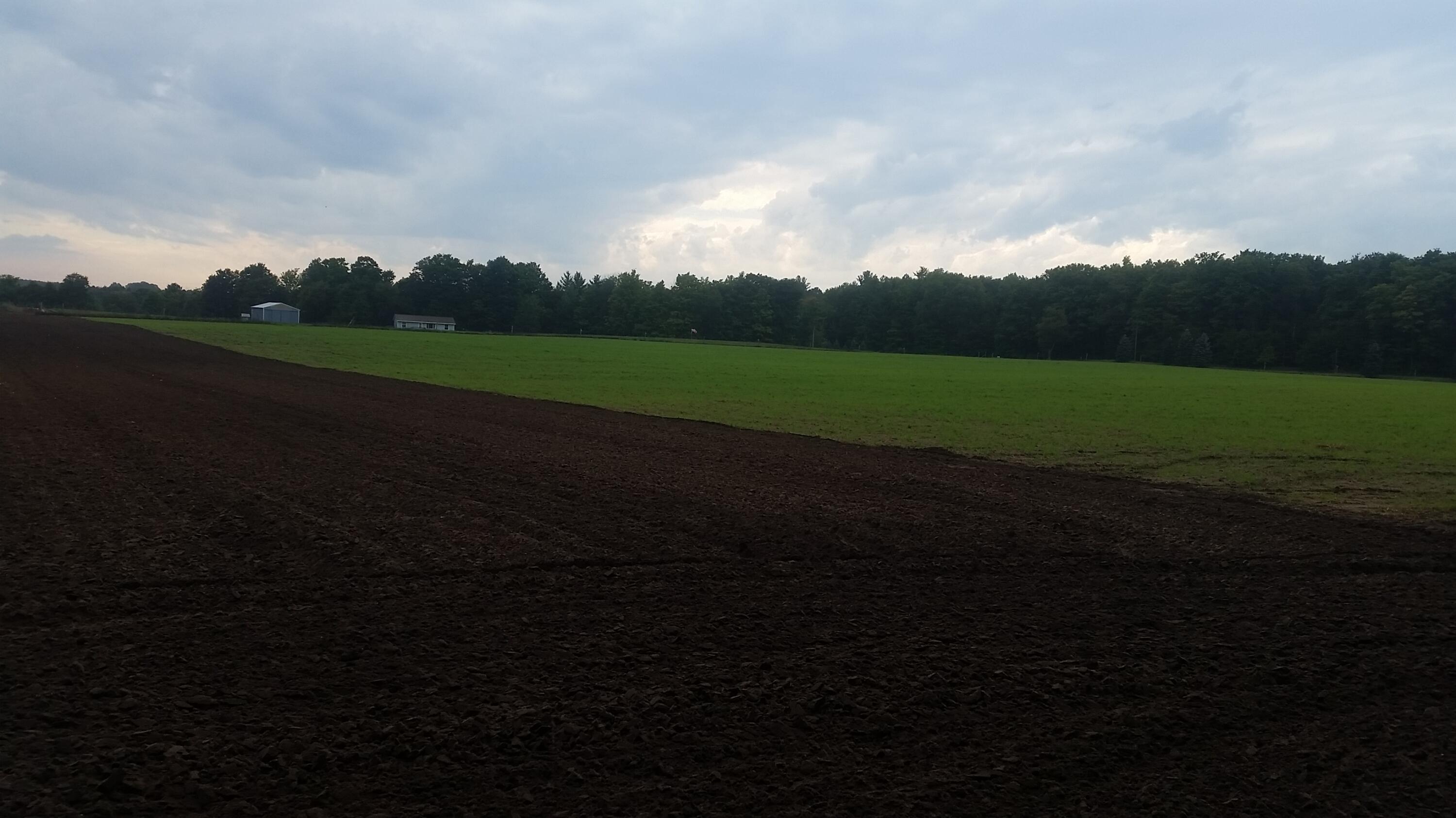 Johnson Road Kaleva, MI 49645 - Photo 10 of 20 4870 2