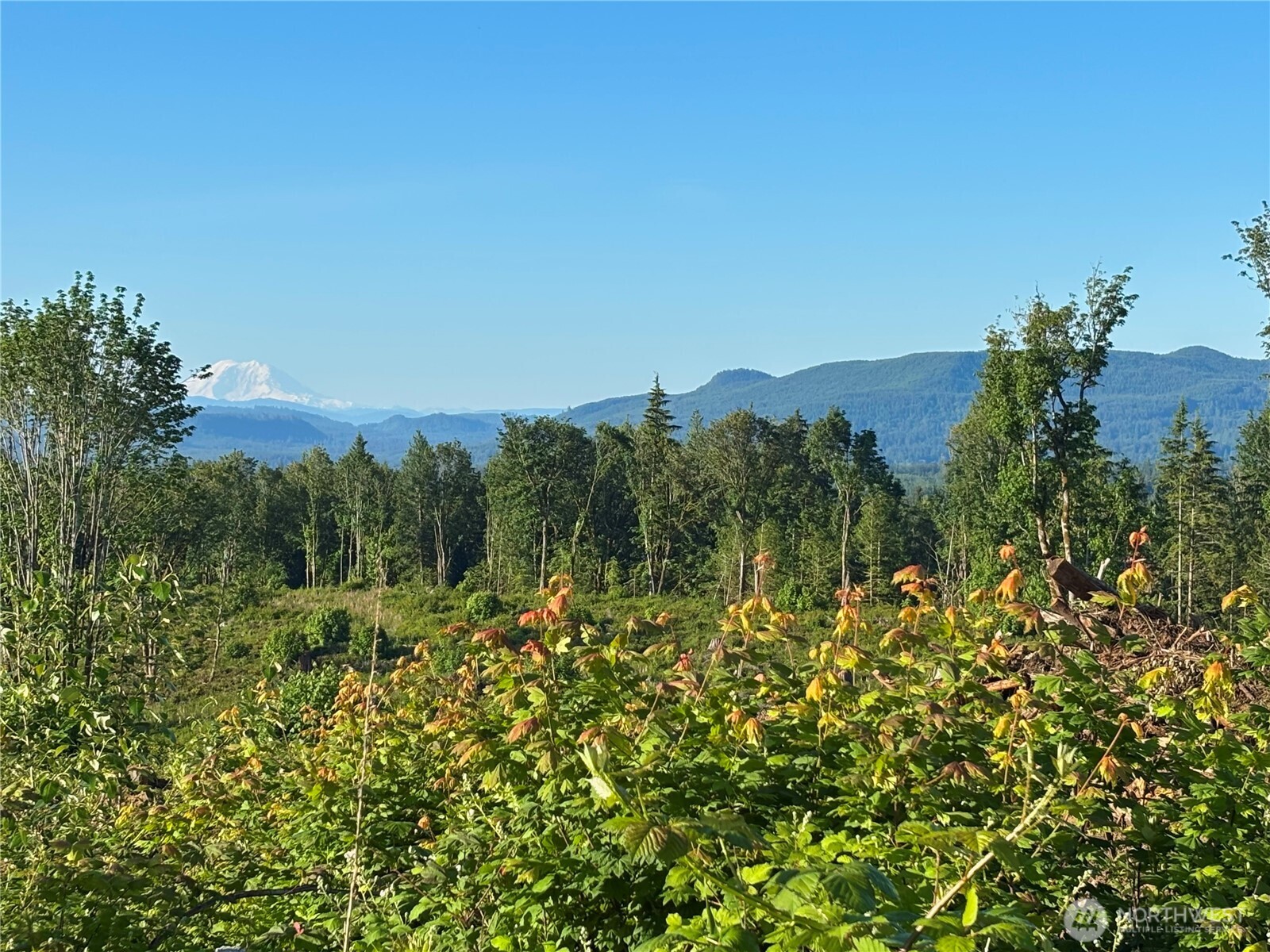 27417 Old Pipeline Road Monroe, WA 98272 - Photo 23 of 38 Gallery Image 23