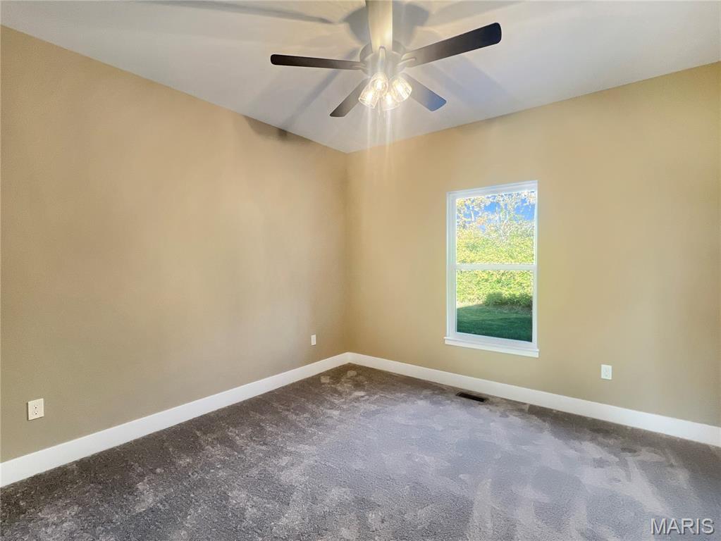 8055 Radcliffe Place Troy, IL 62294 - Photo 18 of 26