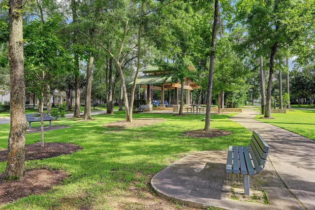 a view of a park with tree s