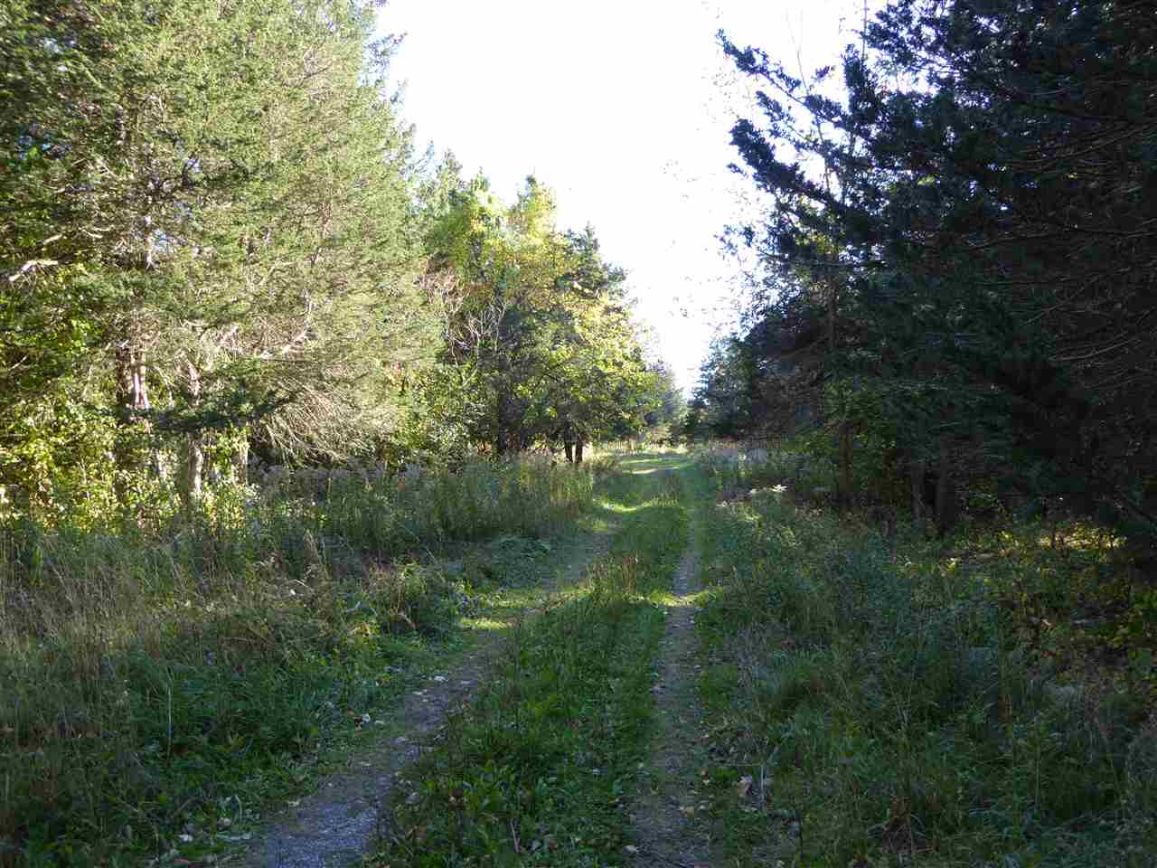 125 Station Road South Hero, VT 05486 - Photo 5 of 7 Gallery Image 5