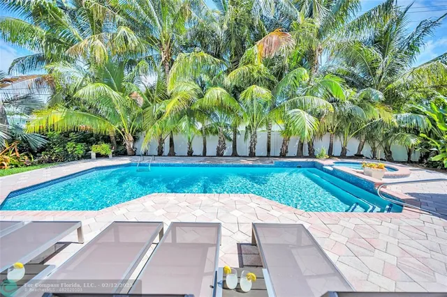 a view of a yard with plants