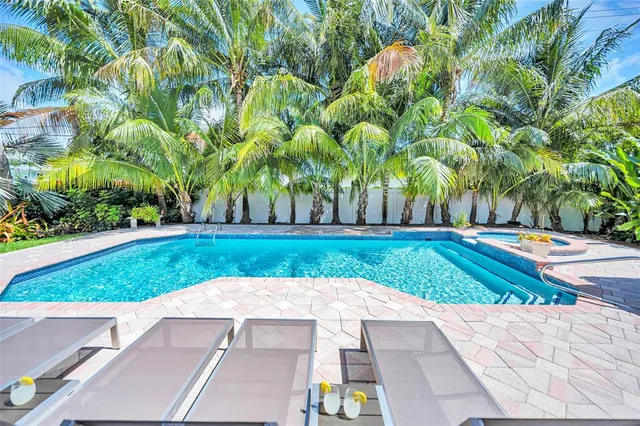 a view of a yard with plants