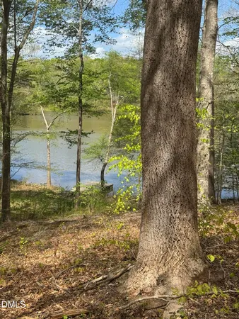 $110,000 | 0 Peninsula Lane, Bullock, NC 27507