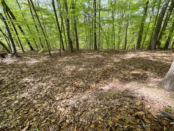 $110,000 | 0 Peninsula Lane, Bullock, NC 27507