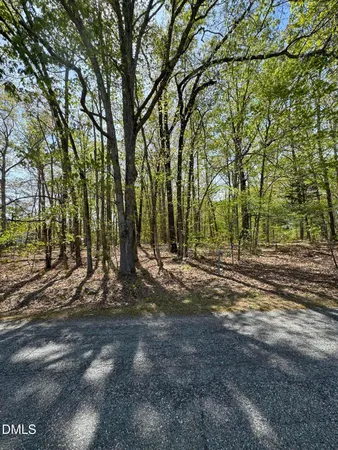 $110,000 | 0 Peninsula Lane, Bullock, NC 27507