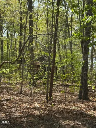 $110,000 | 0 Peninsula Lane, Bullock, NC 27507