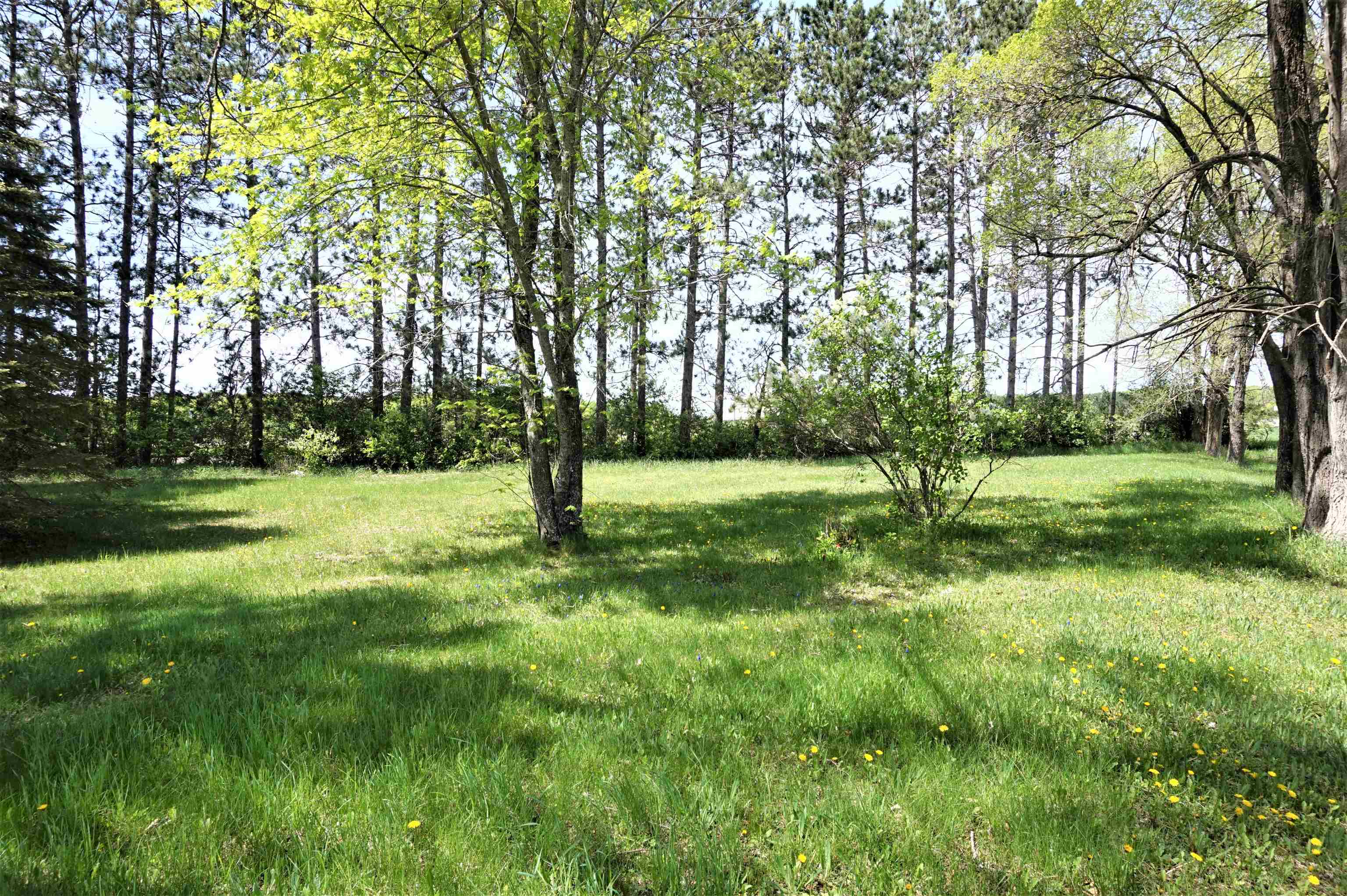 4920 Corey Road Mancelona, MI 49659 - Photo 5 of 22 1900660-4.JPG