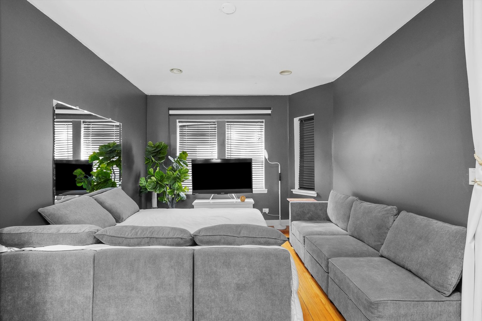 52 Forest Avenue, Unit 2S Riverside, IL 60546 - Photo 3 of 43 a living room with furniture and a potted plant