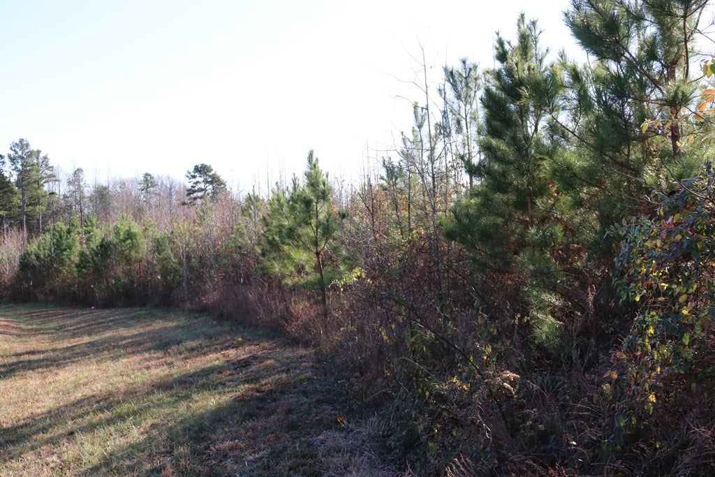 610 Carrington Road, Unit 1 Red Oak, VA 23964 - Photo 2 of 3 Gallery Image 2