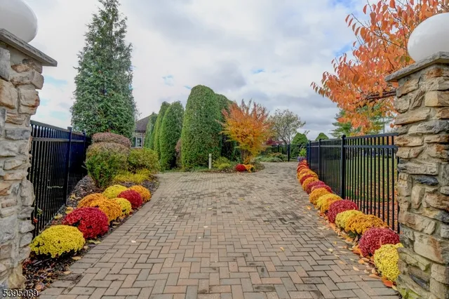a view of a park with plants and wooden fence