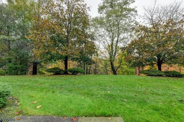 a view of a trees with a big yard