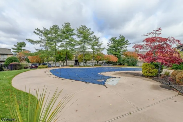 a park view with large trees