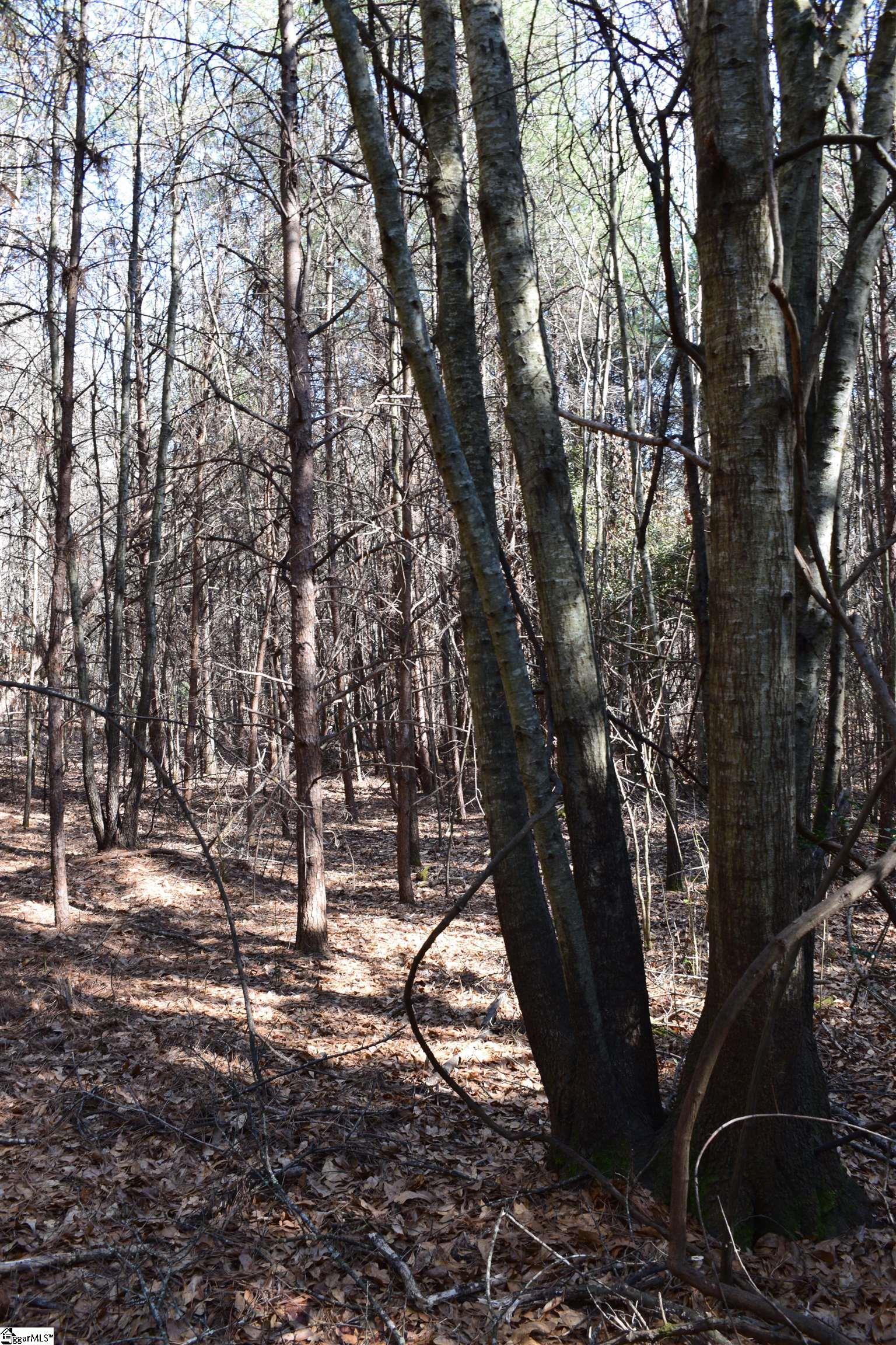 200 State Rd S-39-190 Pickens, SC 29671 - Photo 11 of 17