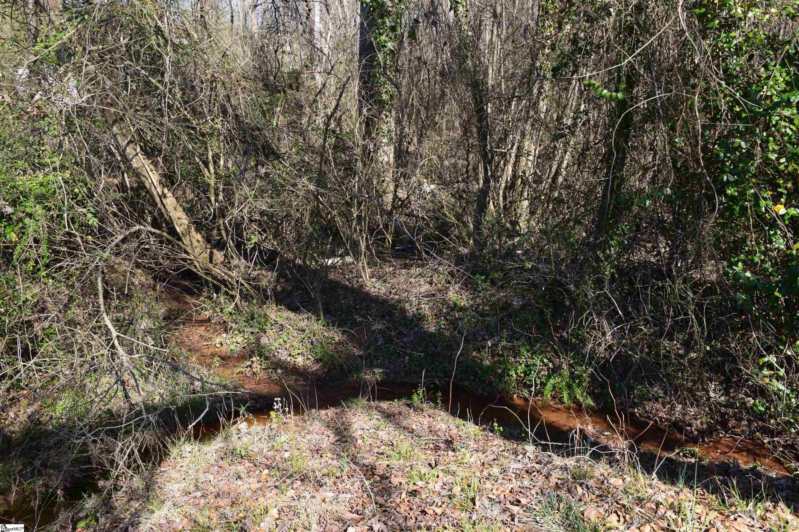 200 State Rd S-39-190 Pickens, SC 29671 - Photo 16 of 17