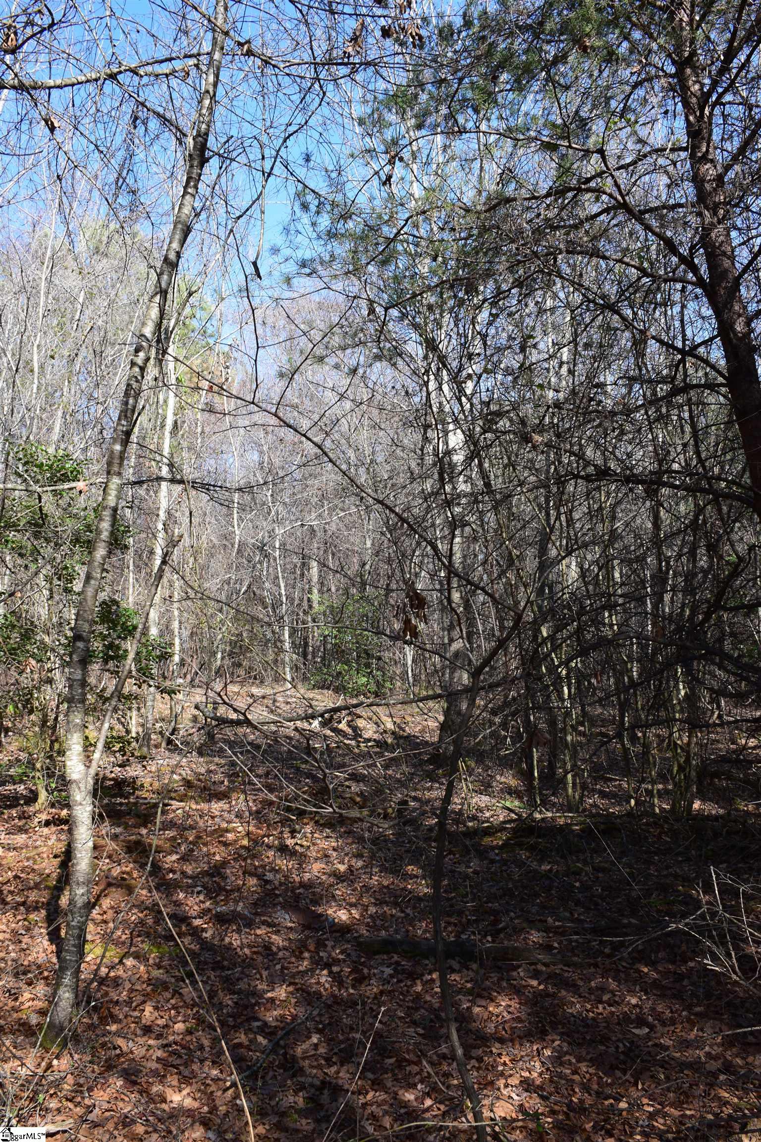 200 State Rd S-39-190 Pickens, SC 29671 - Photo 6 of 17