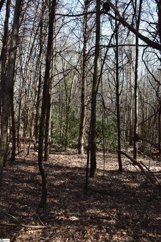 $995,000 | 200 State Rd S-39-190, Pickens, SC 29671