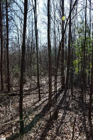 $995,000 | 200 State Rd S-39-190, Pickens, SC 29671