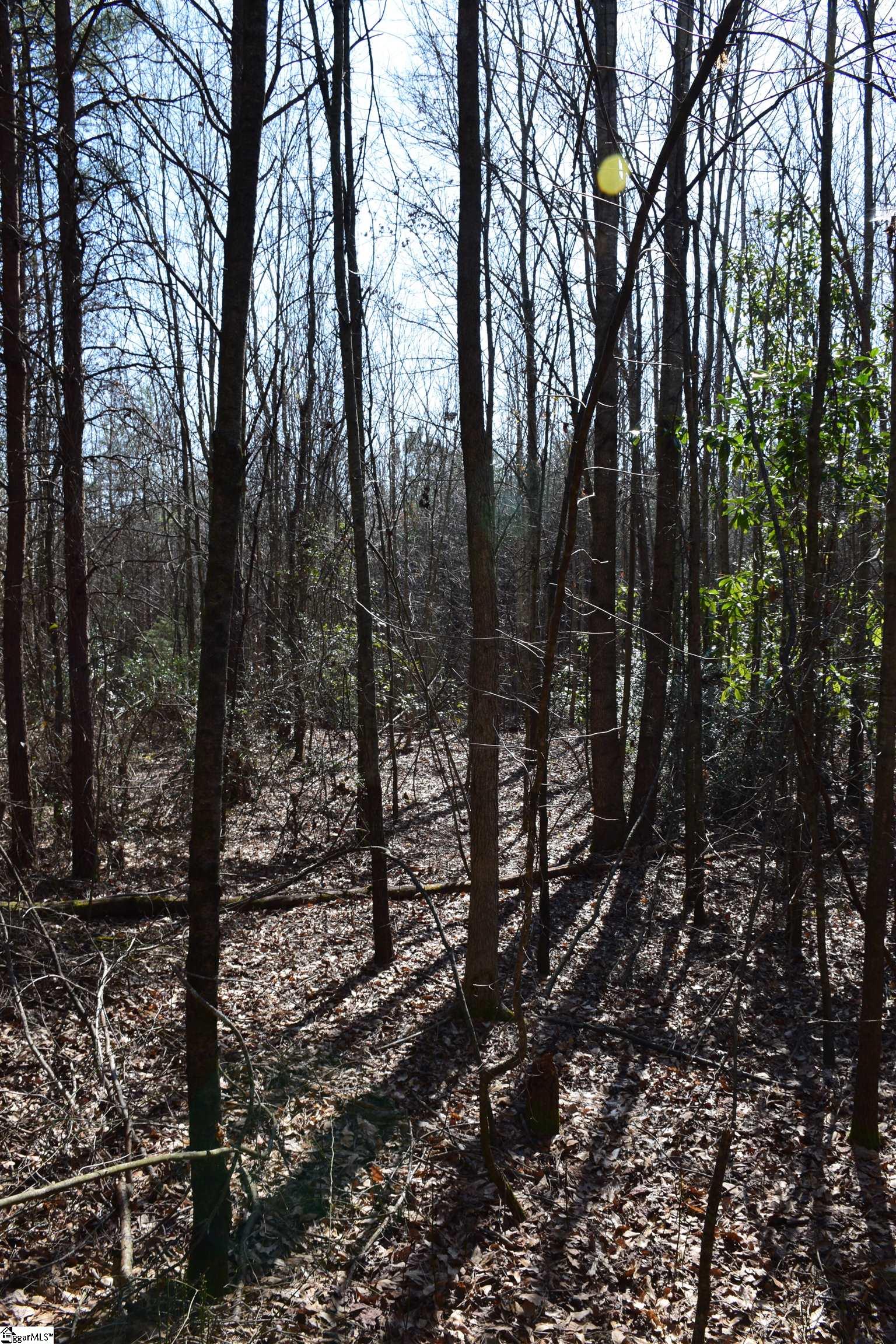 200 State Rd S-39-190 Pickens, SC 29671 - Photo 8 of 17