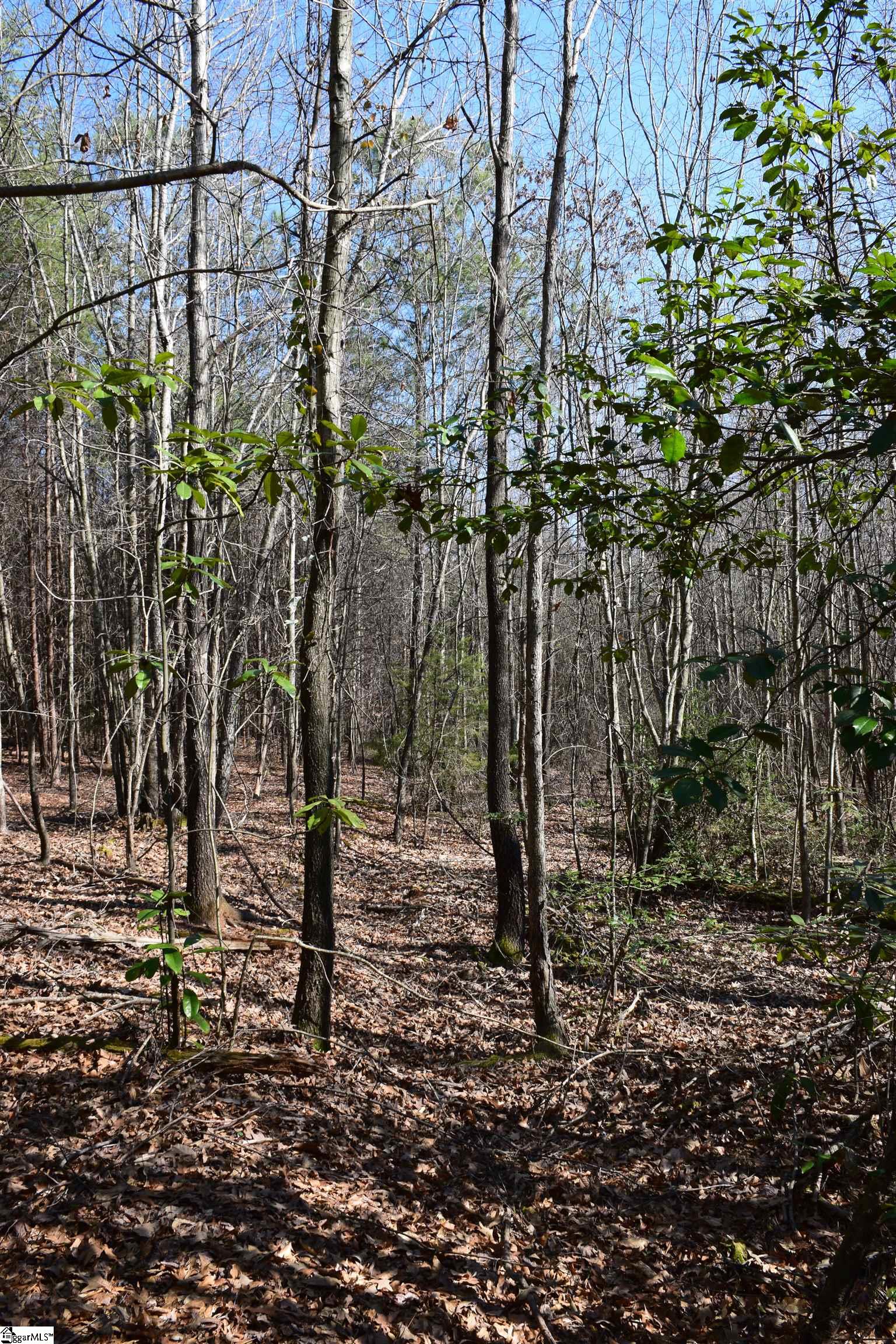 200 State Rd S-39-190 Pickens, SC 29671 - Photo 9 of 17