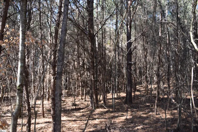 $995,000 | 200 State Rd S-39-190, Pickens, SC 29671