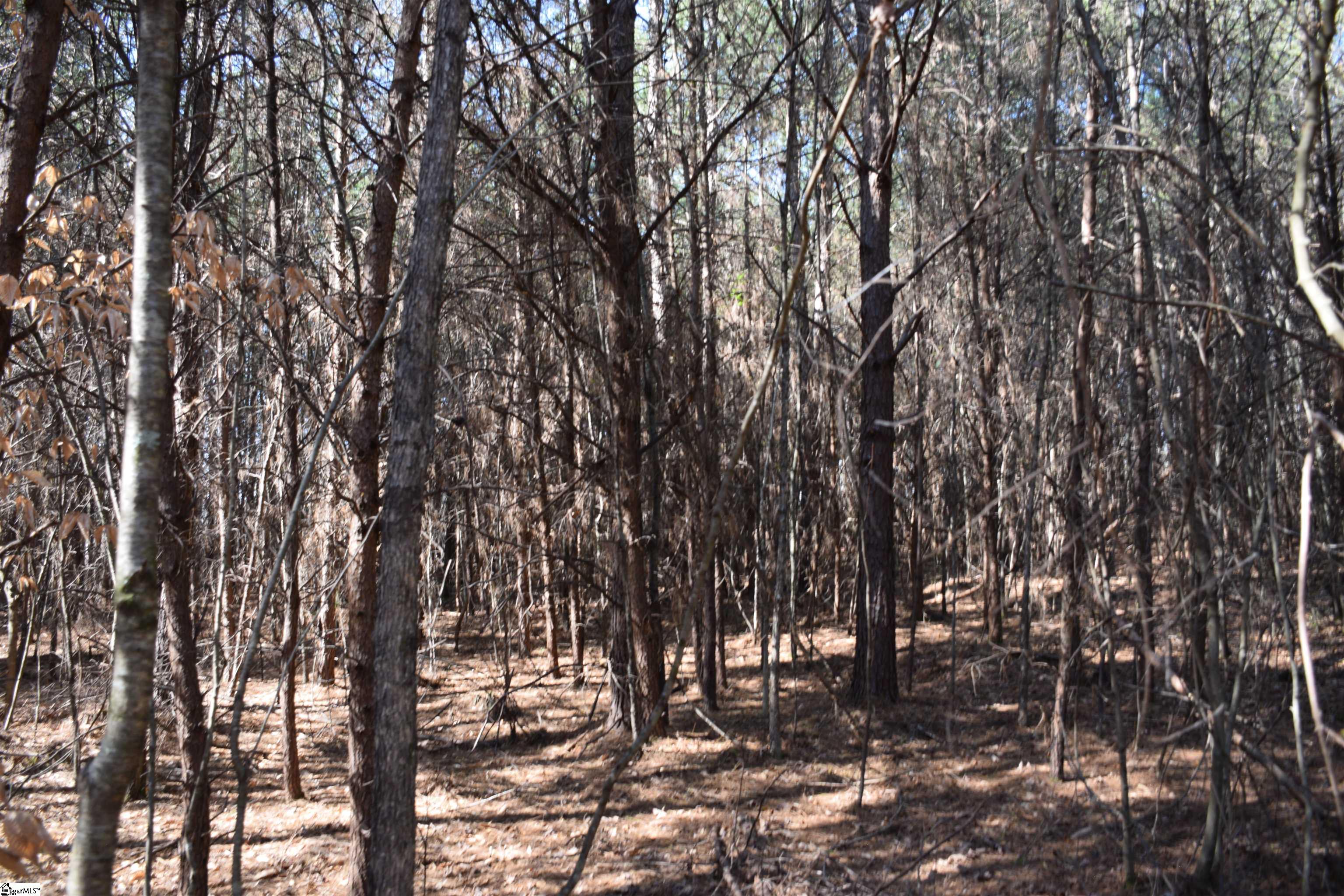 200 State Rd S-39-190 Pickens, SC 29671 - Photo 10 of 17